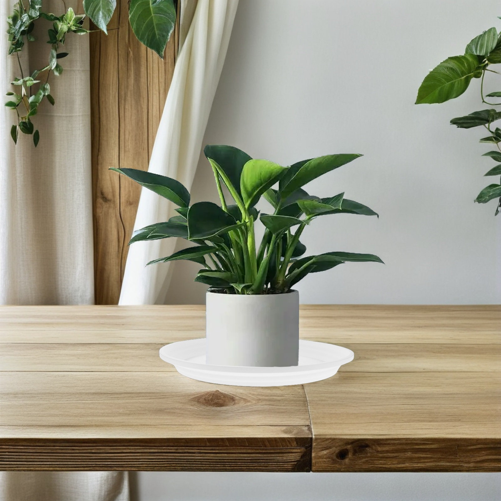 6個入り、直径10.61インチの丸型プラスチック製プランター - Drip Tray Saucer のレビューと価格